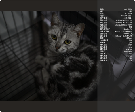 支援多種格式